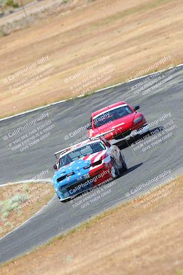 media/May-06-2023-Lucky Dog Racing (Sat) [[8f2256f436]]/Turn 2 10a/